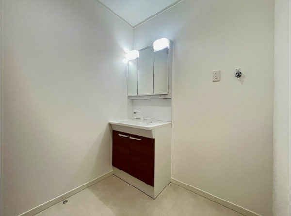 堺市堺区神保通、中古一戸建ての洗面画像です