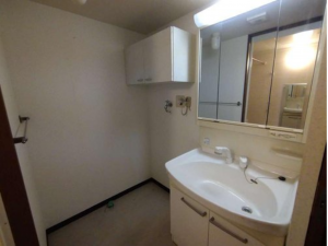 堺市堺区七道西町、マンションの洗面画像です