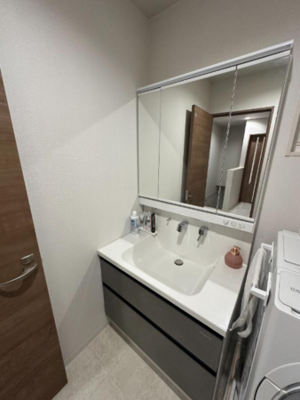 堺市堺区出島町、中古一戸建ての洗面画像です