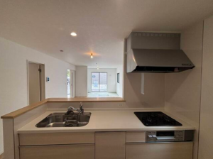 堺市堺区石津町、新築一戸建てのキッチン画像です