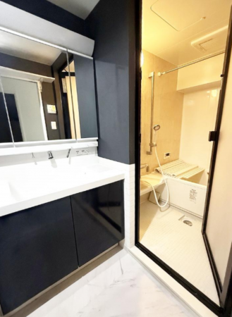 堺市堺区栄橋町、マンションの洗面画像です