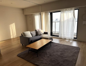 堺市堺区、マンションの内装画像です