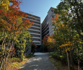 堺市堺区、マンションの画像です