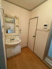 堺市堺区戎島町、マンションの洗面画像です