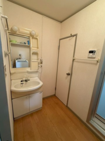堺市堺区戎島町、マンションの洗面画像です