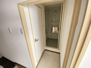 堺市堺区大仙中町、マンションの内装画像です