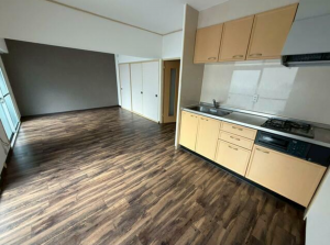 堺市堺区大仙中町、マンションの内装画像です