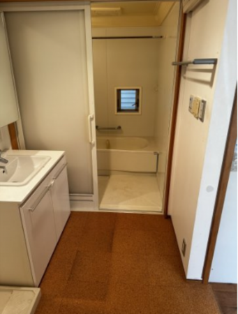 堺市堺区緑ヶ丘北町、中古一戸建ての洗面画像です