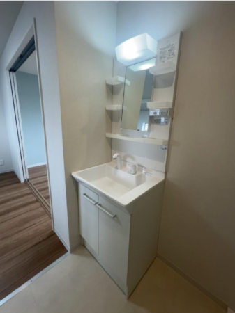 堺市堺区寺地町西、マンションの洗面画像です