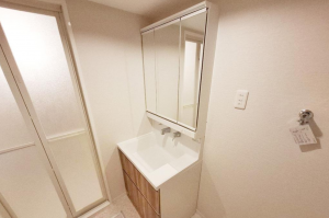 堺市堺区柏木町、マンションの洗面画像です