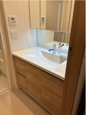 堺市堺区向陵西町、マンションの洗面画像です