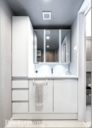 堺市堺区大町西、マンションの洗面画像です