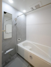 堺市堺区今池町、新築一戸建ての風呂画像です