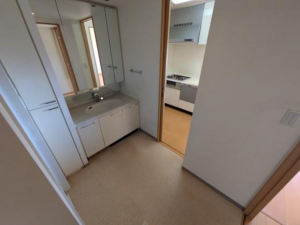 堺市堺区今池町、マンションの洗面画像です