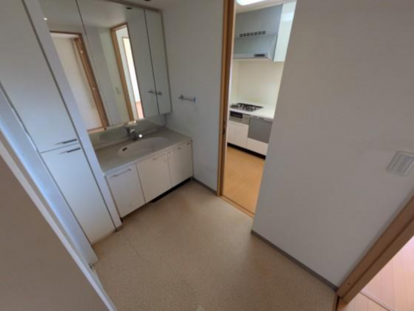 堺市堺区今池町、マンションの洗面画像です