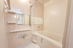 堺市堺区賑町、マンションの風呂画像です