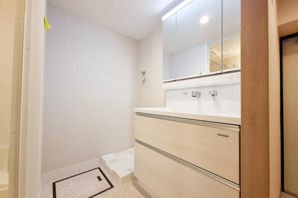 堺市堺区賑町、マンションの洗面画像です