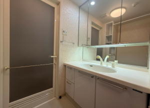 堺市堺区、マンションの洗面画像です