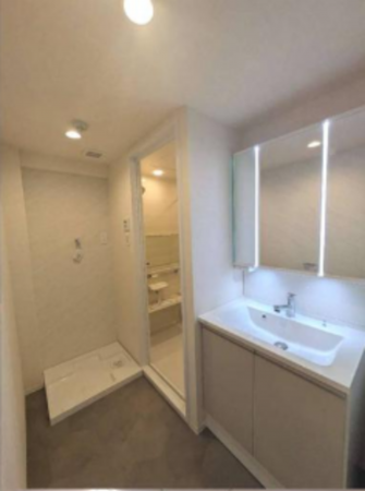 堺市堺区柏木町、マンションの洗面画像です