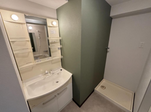 堺市堺区錦綾町、マンションの洗面画像です