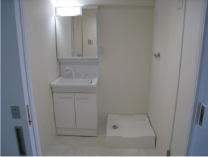 堺市堺区大仙中町、マンションの洗面画像です