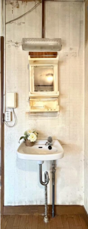 堺市堺区大浜中町、マンションの洗面画像です