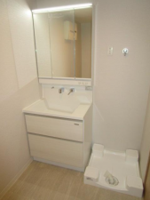 堺市堺区神南辺町、マンションの洗面画像です