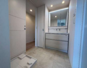 堺市堺区大浜北町、マンションの洗面画像です