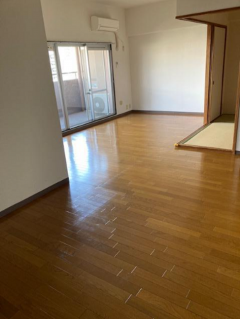 堺市堺区神南辺町、マンションの内装画像です