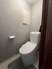 堺市堺区三宝町、マンションのトイレ画像です