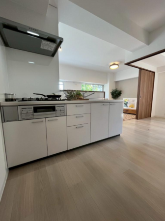 堺市堺区三宝町、マンションのキッチン画像です