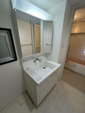 堺市堺区神南辺町、マンションの洗面画像です