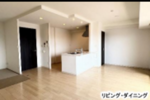 堺市堺区戎之町西、マンションの内装画像です