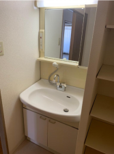 堺市堺区山本町、マンションの洗面画像です