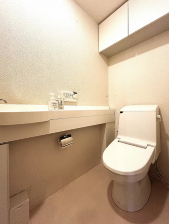 京都市上京区大上之町、マンションのトイレ画像です