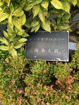 京都市中京区大宮通蛸薬師下る四坊大宮町、マンションの画像です
