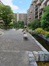 京都市中京区壬生天池町、マンションの画像です