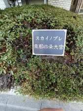 京都市中京区壬生相合町、マンションの画像です