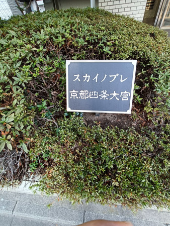 京都市中京区壬生相合町、マンションの画像です