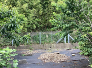 福山市東深津町、土地の画像です