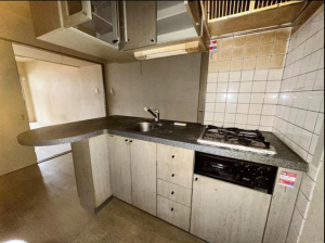 福山市三之丸町、マンションの画像です