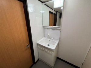 福山市向陽町、マンションの洗面画像です