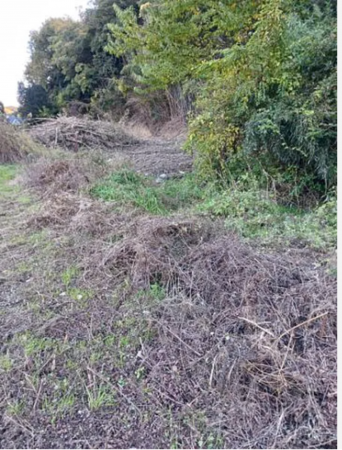 福山市沼隈町大字常石、土地の画像です