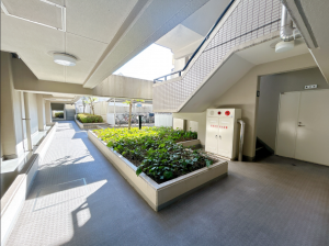 福山市沖野上町、マンションの画像です