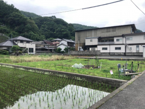福山市沼隈町大字草深、土地の画像です