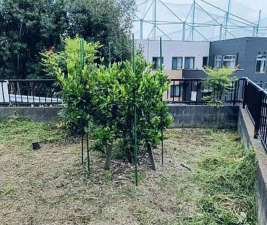 福山市蔵王町、中古一戸建ての画像です