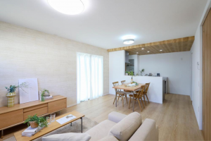 福山市水呑町、新築一戸建ての画像です