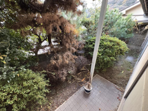 福山市水呑向丘、中古一戸建ての画像です