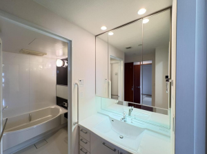 福山市三之丸町、収益物件/マンションの洗面画像です