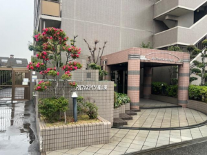 福山市手城町、マンションの画像です